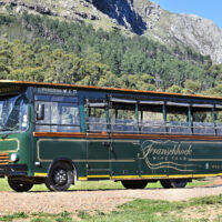 FH Tram Bus 2019 004